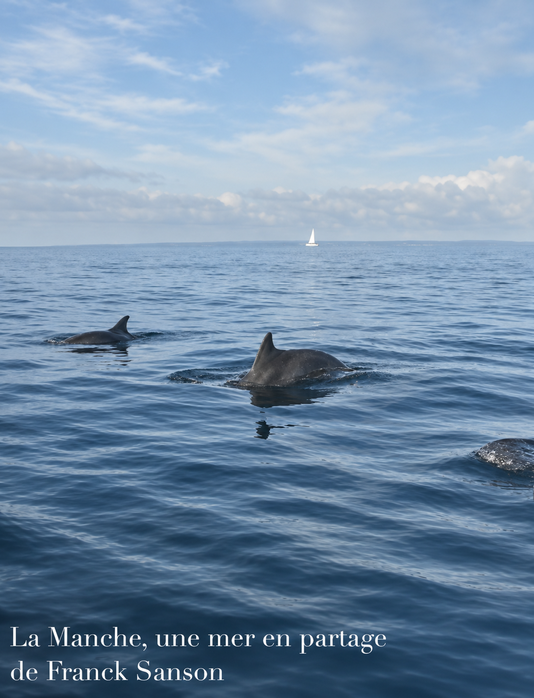 La manche, une mer en partage